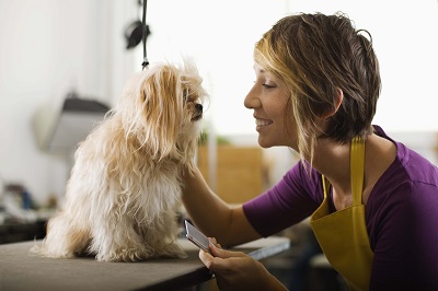 woman petting her dog